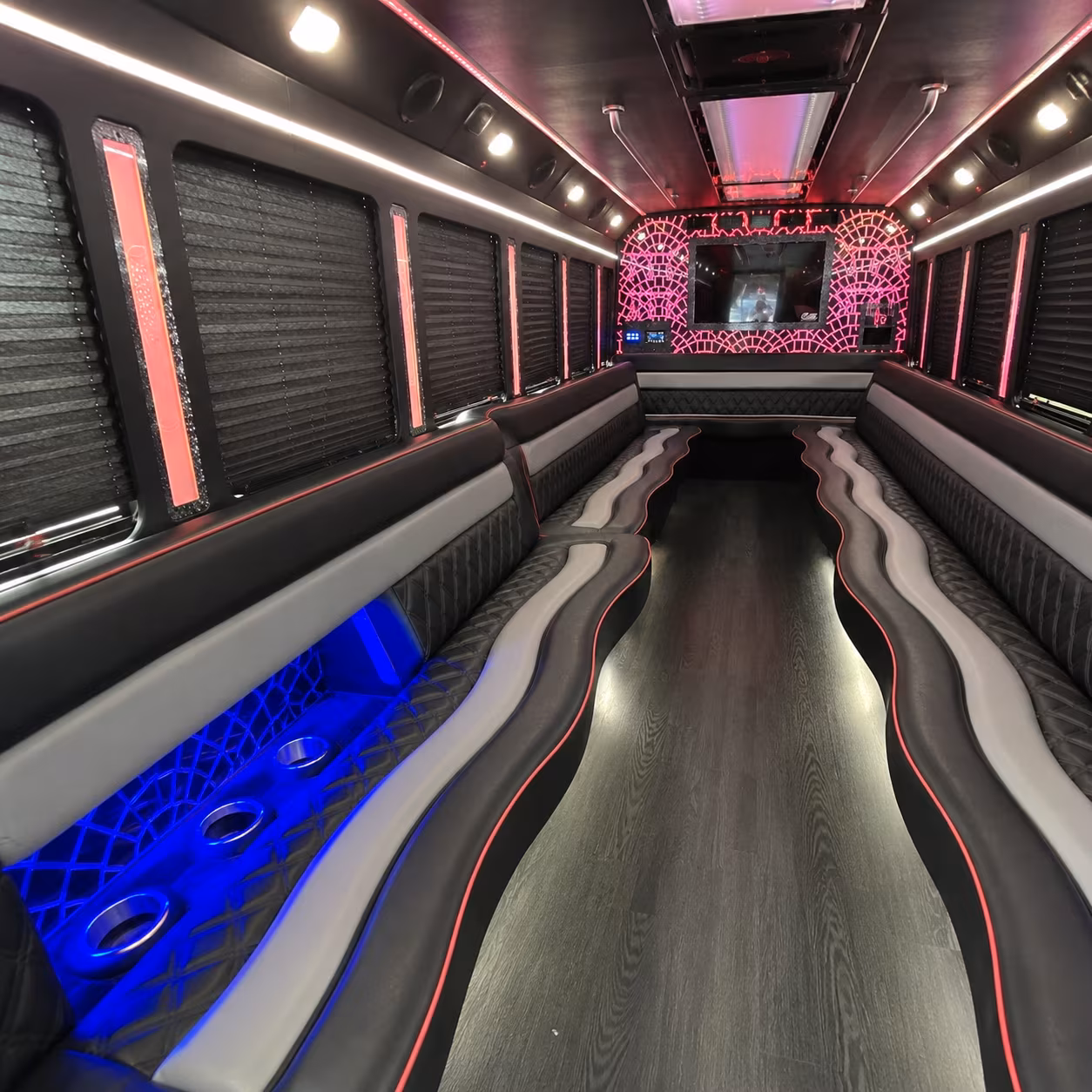 layton party bus gallery